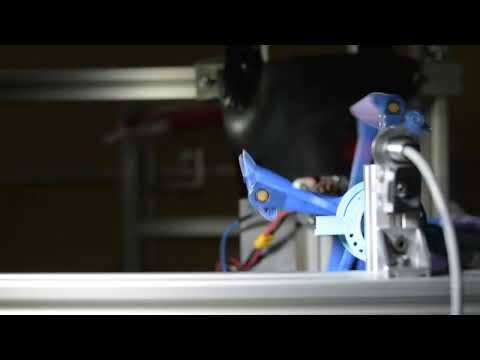 Cycloidal Rotor Blade Stiffness Strobe Visualization