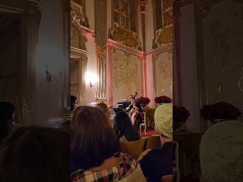 Dec 3, 2024 Vienna, AUS #vikingcruises #vienna #mozart #palace #austria #vacation #holiday