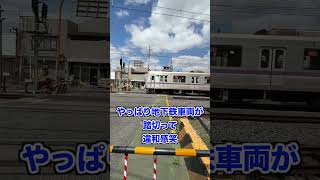 踏切を見てきた！「伊第１４６号踏切」（ #鉄道 #shorts ）