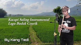 Download lagu KACAPI SULING INSTRUMENTAL 'BUDAK CEURIK'--BY KANG TEDI mp3 Download lagu KACAPI SULING INSTRUMENTAL 'BUDAK CEURIK'--BY KANG TEDI mp3
