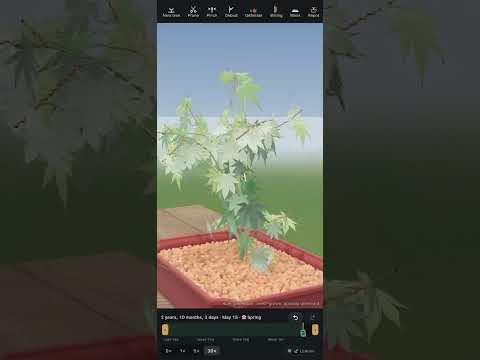 BonsaiSim: Bonsai Simulator video thumbnail