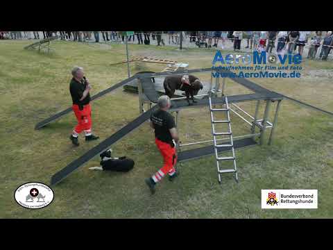 BRH Rettungshundestaffel Hamburg und Harburg e.V. - Vorführung