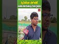 స్పిరులినా సాగుతో ఉపాధి పొందుతున్న యువ రైతులు  #hmtvagri #nelatalli#spirulina