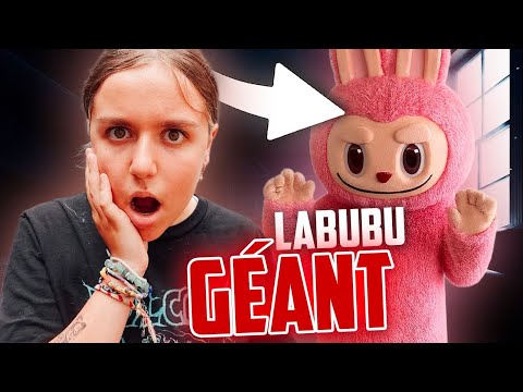 IL FAUT VIRER LES LABUBU DE CHEZ NOUS ! - PINK LILY