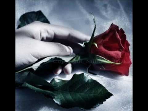 Parni Valjak - Hvala Ti