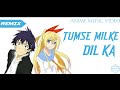 Tumse Milke Dilka Jo Haal AMV Hindi Romantic AMV