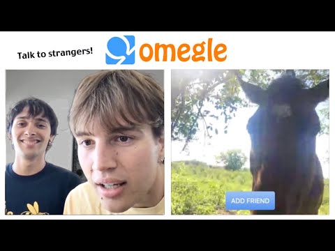 Omegle Is Insane