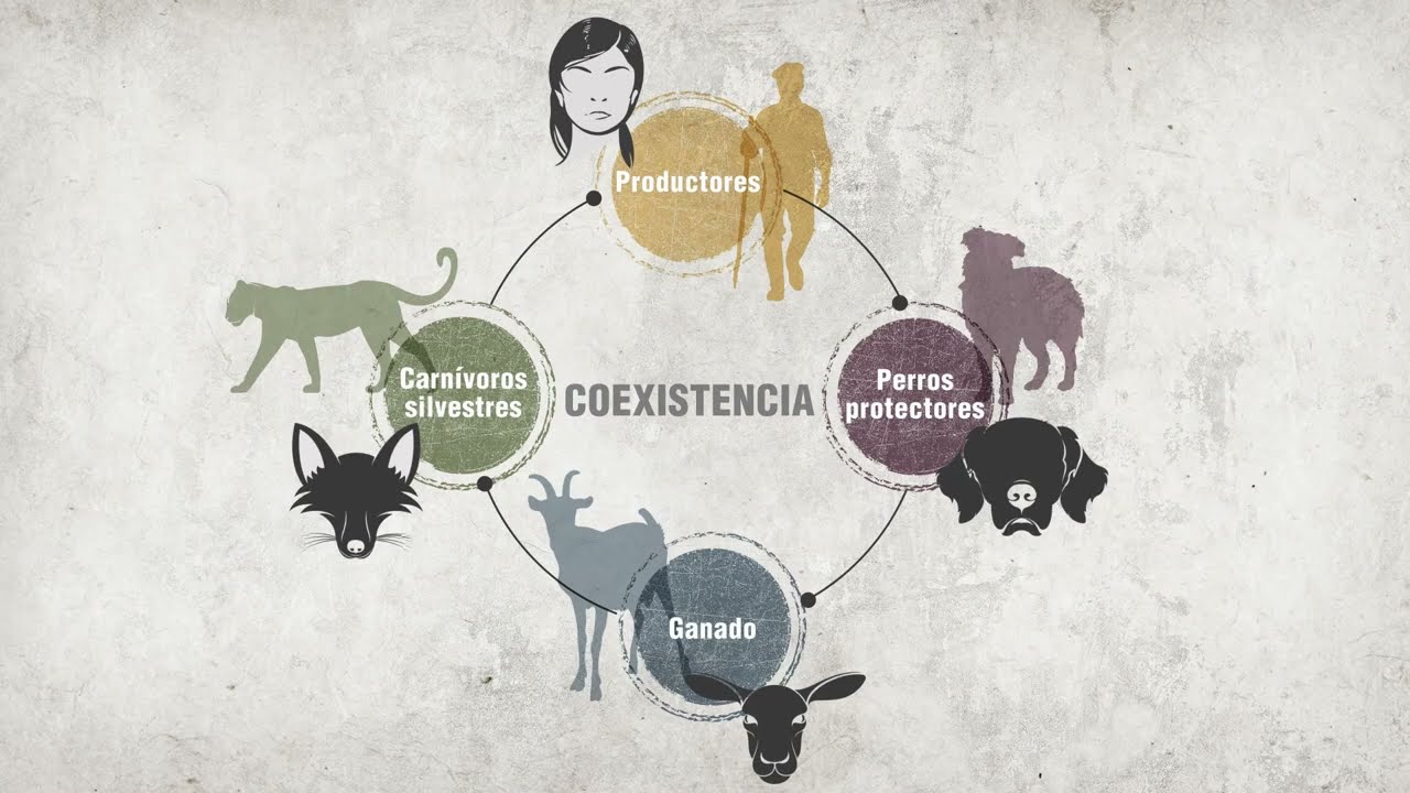 COEXISTENCIA I Aliados por Naturaleza