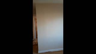 Use a final flush filler to get smooth walls before finish coats of paint