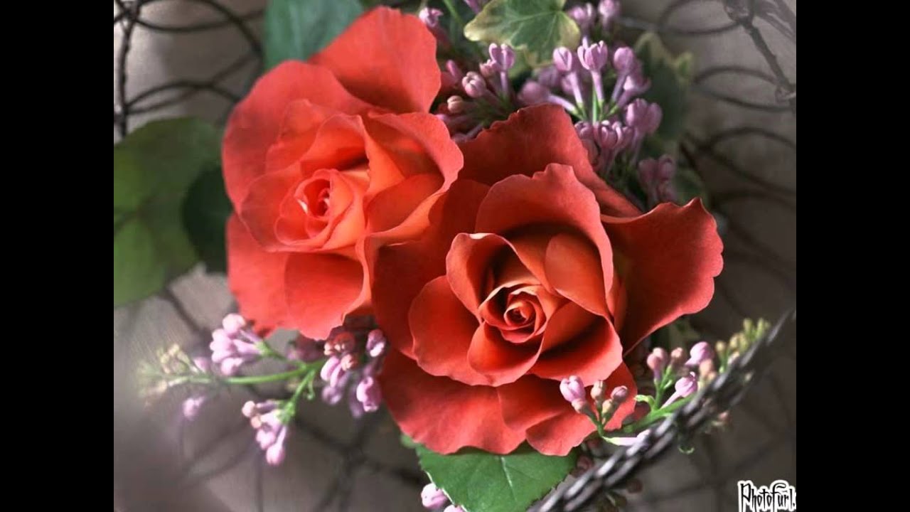 Kare Tumse Pyaar Lyrics | Jaadu | Kavita Krishnamurthy, Kumar Sanu | Nadeem Shravan