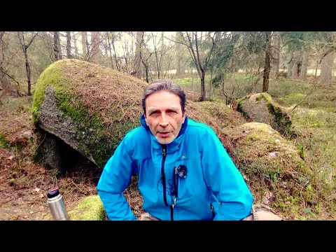 Vorgeschichtspfad 🗿 bei Paddewisch -  Neolithikum - Jungsteinzeit - Seemoor