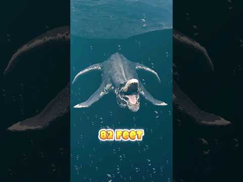 Prehistoric Sea Creatures Nothosaurus Vs Liopleurodon