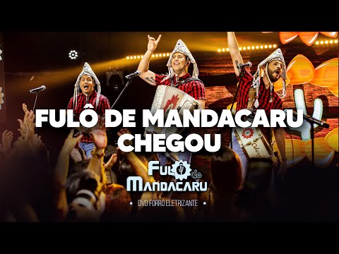 Fulô De Mandacaru Chegou - Fulô de Mandacaru