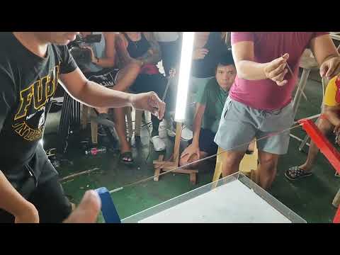 Malulupet na laban sa Gagambols online spider Derby Live #AgentKadagit