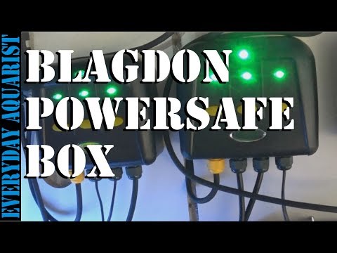 Upgrading Shed Fishroom Electrics Using Blagdon Powersafe Switch box