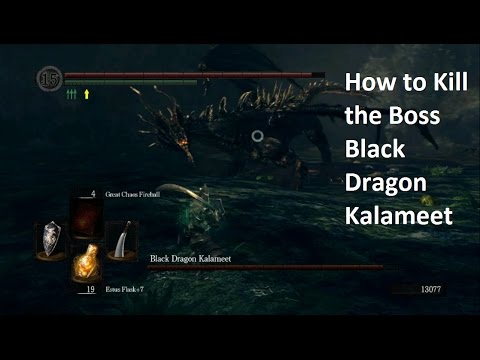 Dark Souls: How to Kill the Boss Black Dragon Kalameet