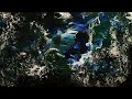 Painted In Void Revolution Within Album