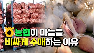 농협이 경매가보다 비싸게 농산물을 사는 이유