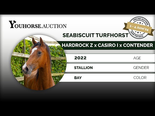 Seabiscuit Turfhorst