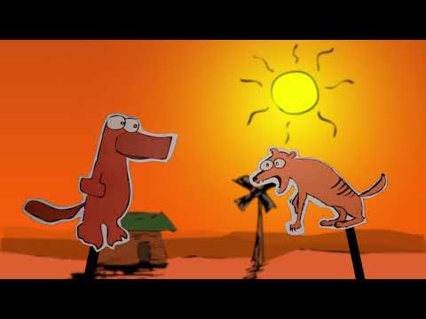 In the Bush! Australian Animals Cartoon - Episode #2