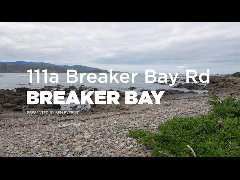 111a Breaker Bay Road, Breaker Bay - Wellington (Ben Everist)