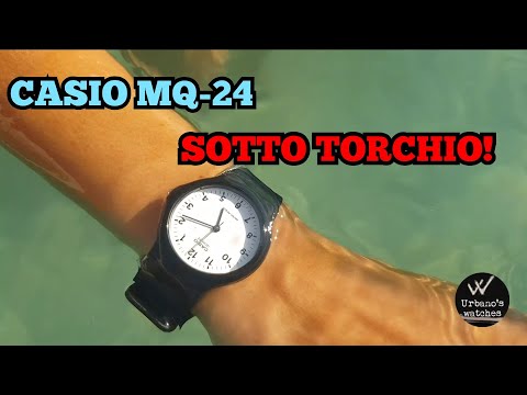 CASIO MQ-24 SOTTO TORCHIO / Recensioni Ep.13