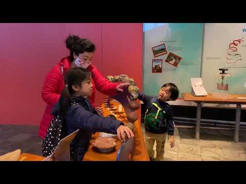 ファッションビジネス学科 Museum Nanny Taking Children to the Natural History Museum in London! (Taken Before the Lockdown.)