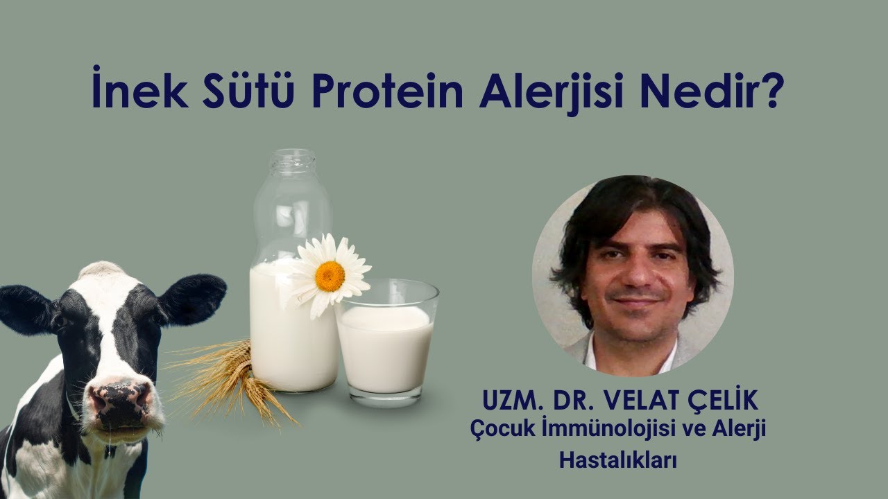 İnek Sütü Protein Alerjisi Nedir?