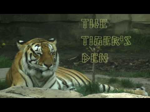 June 8th Power Trading Hour with David White on TFNN   2016