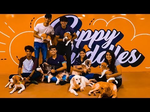download lagu mp3 mp4 Dog Cafe Studio Mumbai, download lagu Dog Cafe Studio Mumbai gratis, unduh video klip Dog Cafe Studio Mumbai