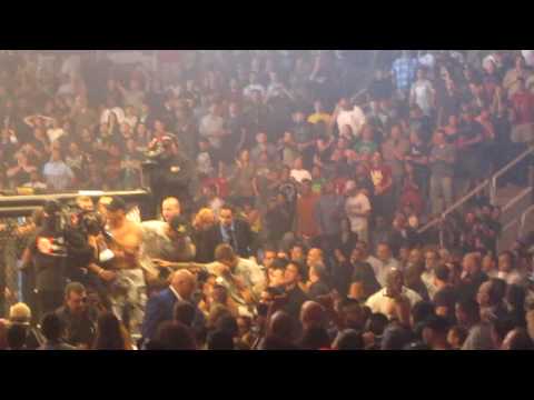 Fedor vs Werdum - Strikeforce  - The End of an Era