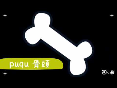 邵女Apin帶你認識各種puqu(骨頭)！？