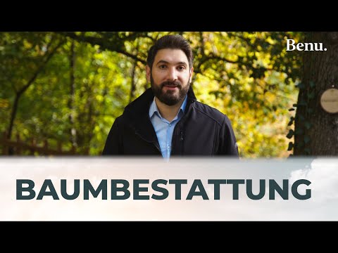 Vorschaubild zu Baumbestattung | Ablauf und Kosten