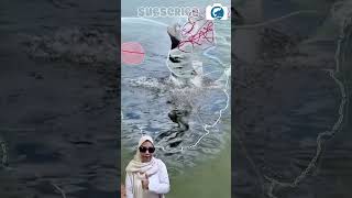 Download lagu DENGAN BERGAYA MEWAH, CEWEK INI JAGO MENANGKAP IKAN MONSTER YANG MUNCUL DI DANAU HANYA PAKAI JALA mp3