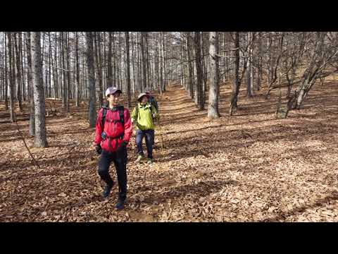 丹波山観光PR 尾根道を歩こう