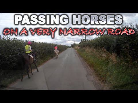 Passing Horses on a Very Narrow Road