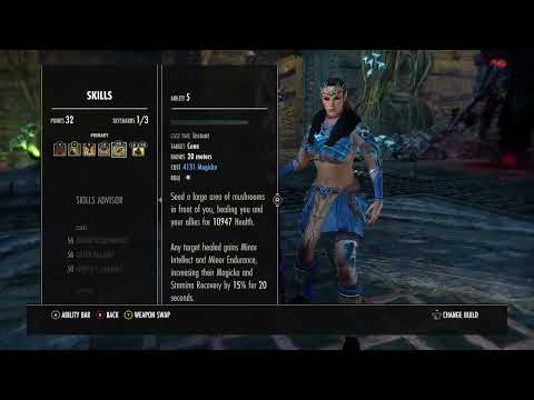 Quick Warden Heal Walkthrough: Roaring Opportunist/Jorvulds Guidance