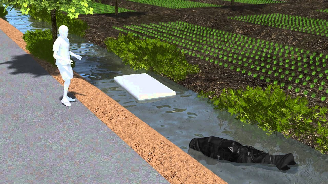 Bali murder: British man found dead in rice field, wife arrested