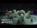 The End Of Ringling Bros And Barnum Bailey Circus NBC Nightly News