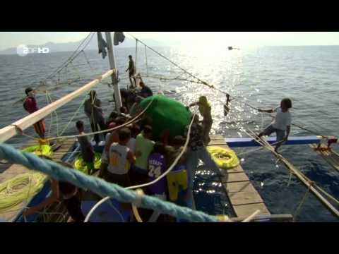 TerraX Faszination Erde   Philippinen Reportage über die Philippinen Teil 3