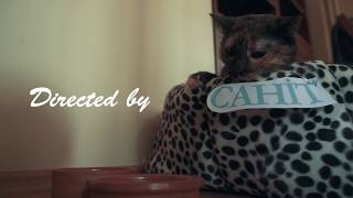 Dolu Kadehi Ters Tut &amp; Canozan - Aklım Hep Firarda