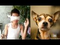 Touch My Body Challenge S For Kids