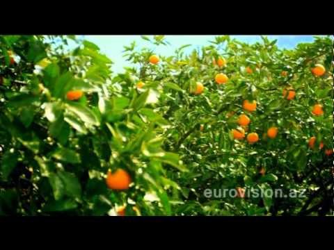 Eurovision 2012, Postcards - Montenegro