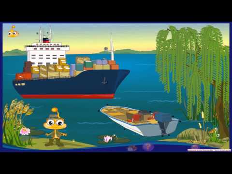 PitiClic in Delta Dunarii