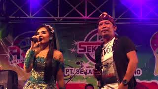 Download lagu 'BINGKISAN RINDU'DIAN MARSANDA FEAT HARIRI-THE ROSTA mp3