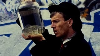 Neonhal: Jegyed van az életre