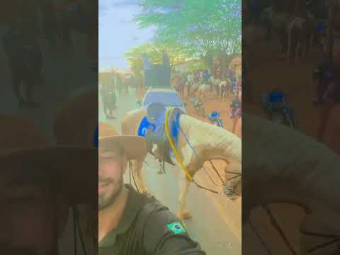 Cavalgada de Umburanas