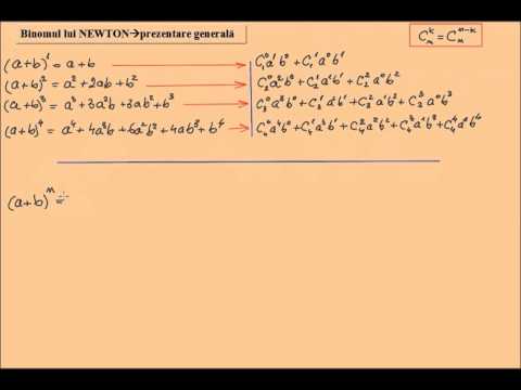 Binomul lui Newton (lic_binomnewton)