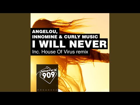 I Will Never (Original Mix)