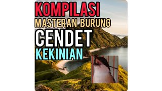 Download lagu Masteran Burung Cendet Terbaru | kompilasi suara masteran kekinian(berjeda) mp3